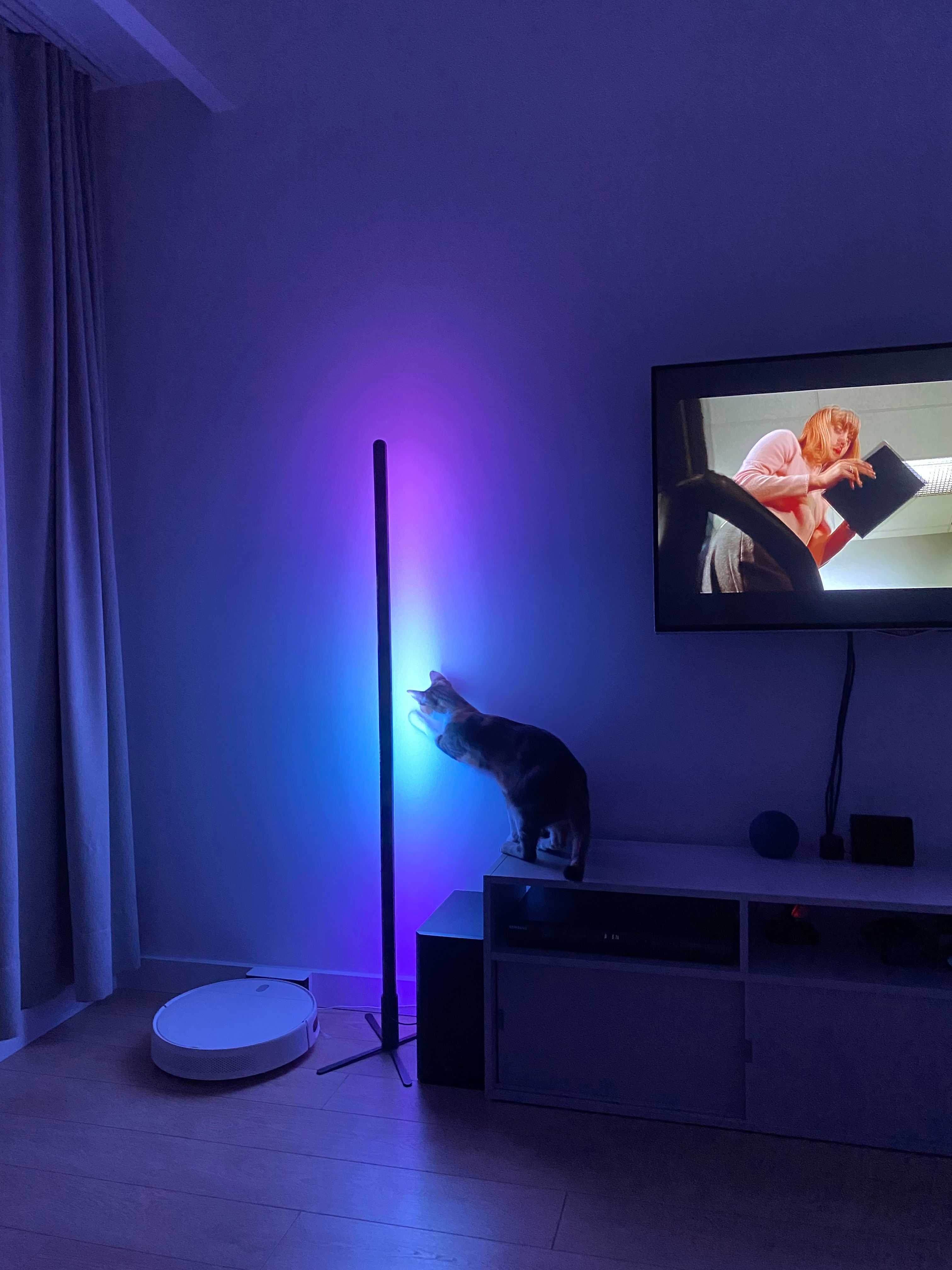 Müşteri sahnesi: TV yanında lamba ve meraklı kedi